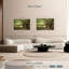 Banyan Tree-862456798-862456795