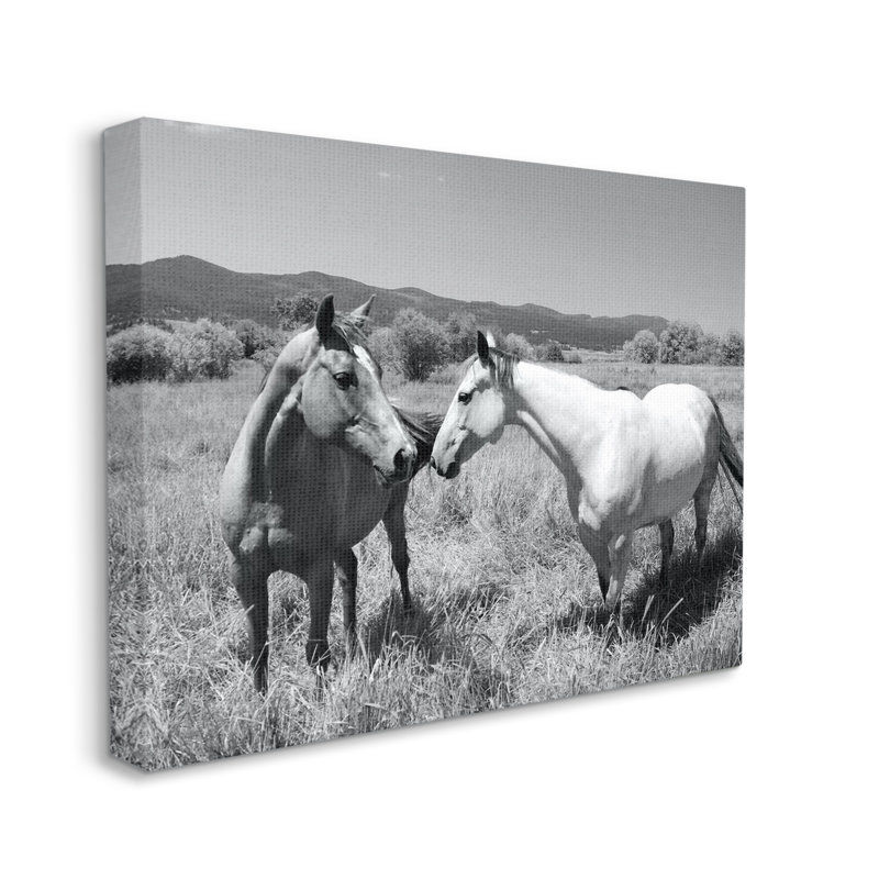 Deux chevaux, photographie par Steve Toole, H 16 po x l 20 po x P 1,5 po, Toile tendue