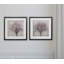 « fleurs of spring », ensemble de 2 reproductions d’art encadrées