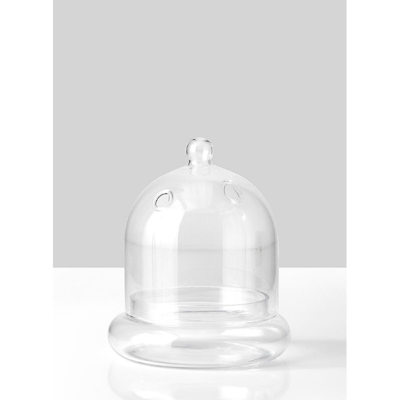 Ensemble de terrarium en verre 2 pièces à cloche Bridgetown