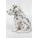 Dalmatian Puppy Statue