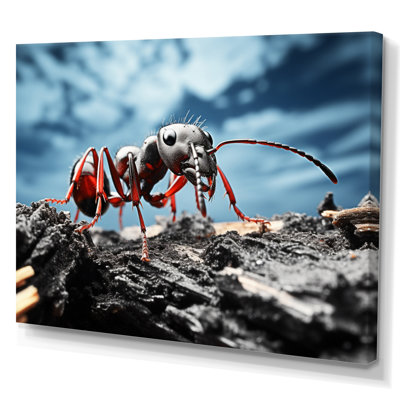 Ant Industrious I, reproduction d'art sur toile