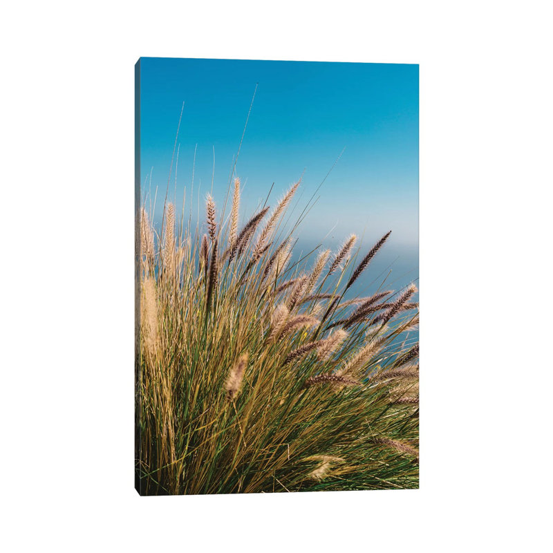 Wild Big Sur by Bethany Young - Print on Canvas, 152.4cm H x 101.6cm W x 3.81cm D, Wrapped Canvas