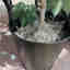 Photos des clients 2 de 3
