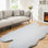 Hiroaki Cozy Faux Rabbit Fur Area Rug Machine Washable Rug in Gray