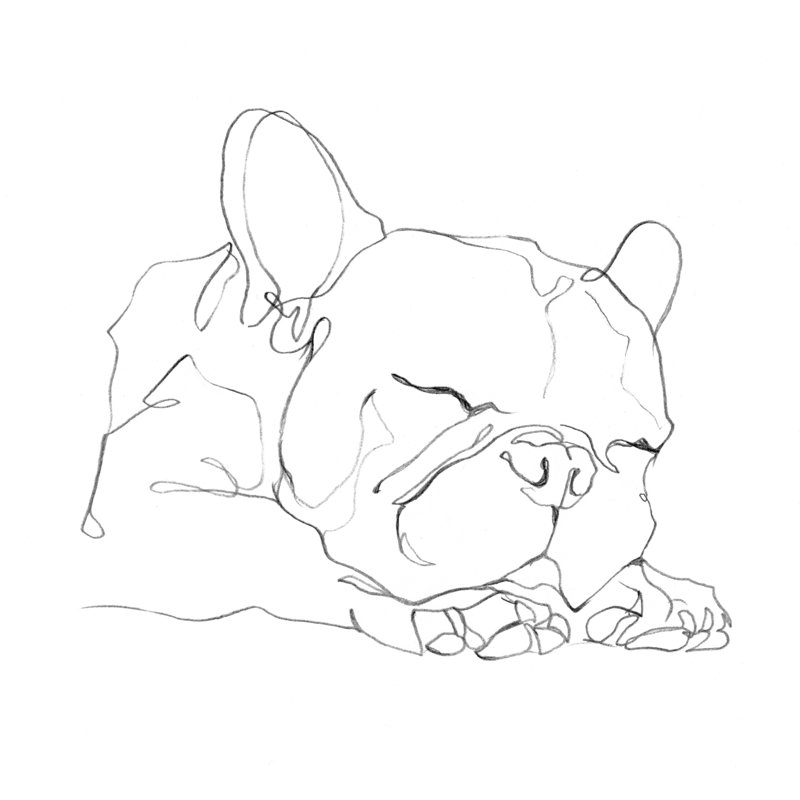 Bouledogue français Contour II, H 36 po x l 36 po, Non, Toile encadrée noire