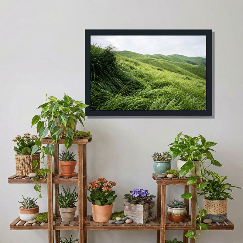 «Green Rolling Hills And Tall Windblown Grass Field», art mural sur toile, 20"H x 30"W