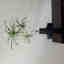 Customer photo 3 of 4