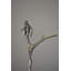 Statue de singe coloré posée sur un arbre en bronze - Taille: L 12 po x l 13 po x H 27 po.-53123531