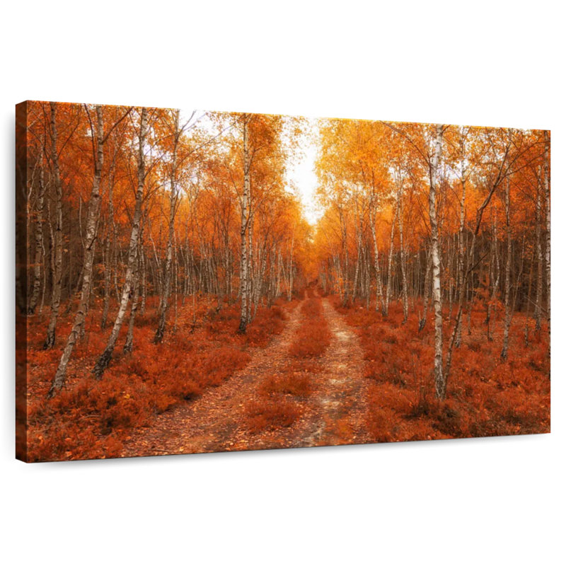 Forêt de bouleaux dorée Alvord, H 26 po x l 39 po