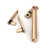 Polished Bronze