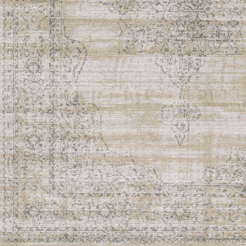 Colosseo Oriental Indoor Rug, Rectangle 5'3" x 7'3"