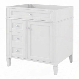 30" Bathroom Vanity without Top Sink, Modern Bathroom Storage Cabinet with 2 Drawers and a Tip-out Drawer