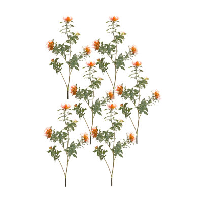 Protea Sprays