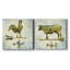 «Americana Rooster», ensemble de 2 impressions sur toile-1558082236-1558082235
