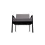 Doerr Set of 2 Upholstered Accent Chairs-94365273