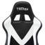 Fauteuil de jeu et de course inclinable, ergonomique et inclinable en similicuir Inbox-412633232