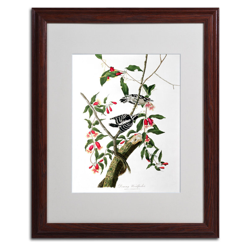 « downy woodpecker », reproduction d’art sur toile encadrée, H 20 po x l 16 po x P 0,5 po, Brun