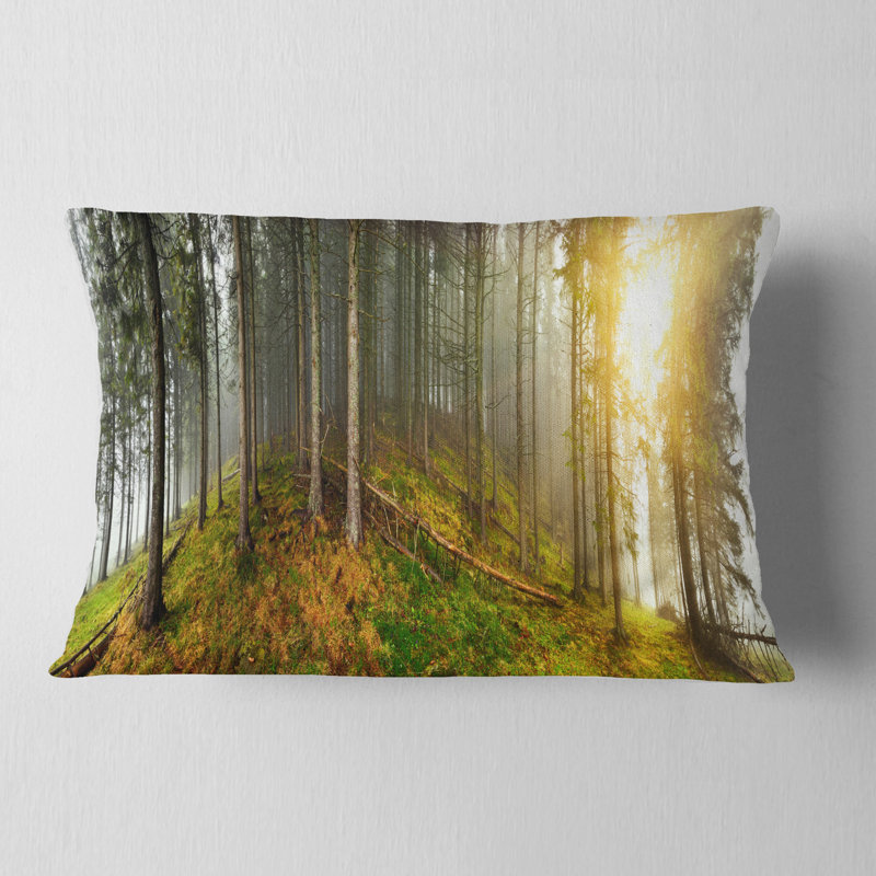 Coussin Schafer Landscape