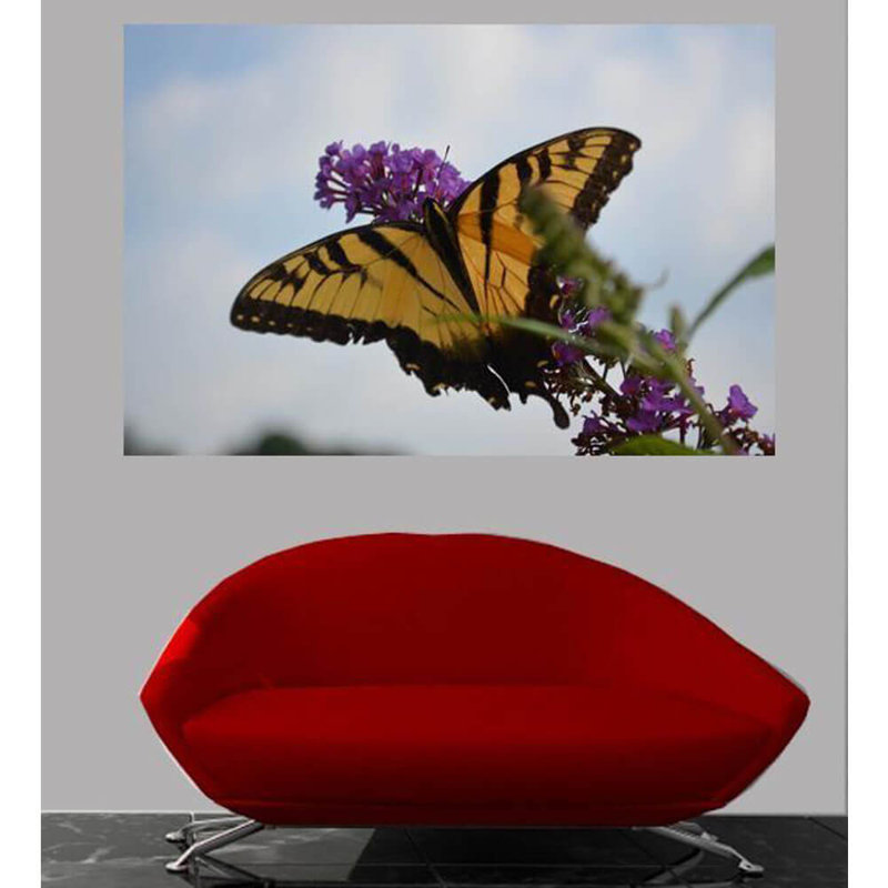 Décalcomanie murale à repose-papillon, 16 po x 24 po