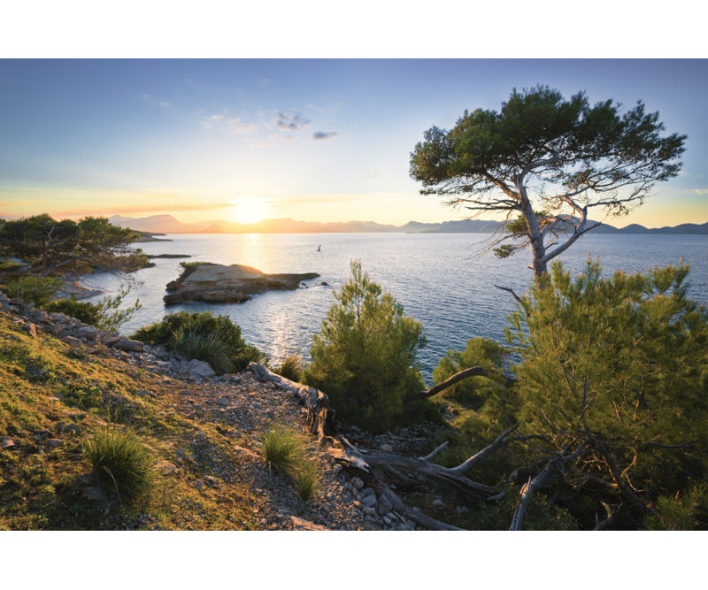 Wrapped Canvas Print, 50.8 cm H x 76.2 cm W