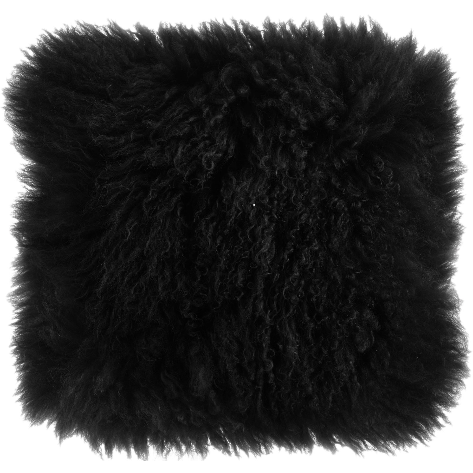 Iyana Wool Throw Pillow, Black, Square 20"