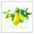 Cadre flottant blanc