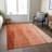 Lavonia Flatweave Washable Ombre Indoor / Outdoor Rug-550838049