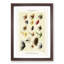Hackles Fishing by Mary Orvis Marbury - Picture Frame Painting Print-55738029-55738034