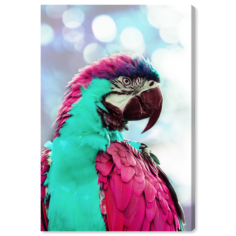 « rose turquoise ara », photographie sur toile, H 15 po x l 10 po x P 1,5 po