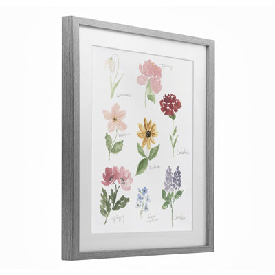 Labeled Flower Varieties Framed Print Under Glass, design by Lucille Price