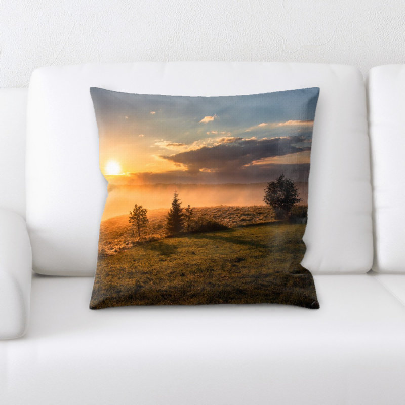 Coussin de jeté