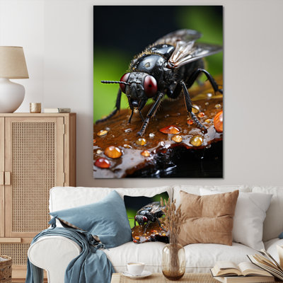 Insects Bugs Portrait I  Animals Wall Decor