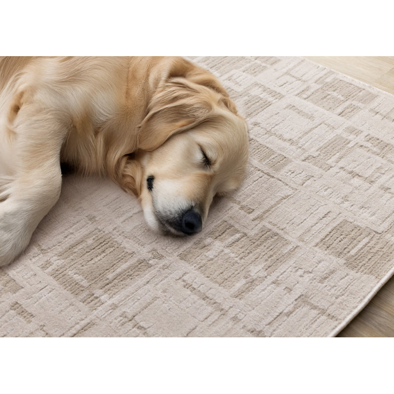 Tapis taupe neutre texturé pour le salon, Rectangle 5 pi 3 po x 7 pi 5 po