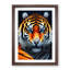 Fearless Tiger - Single Picture Frame Print-228202276-228202278
