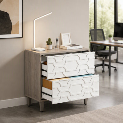 Classeur à 2 tiroirs avec rangement spacieux, conception élégante et fabrication durable pour la maison ou le bureau