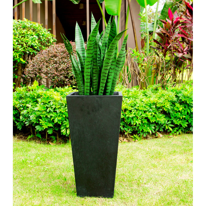 Pot à fleurs Juda