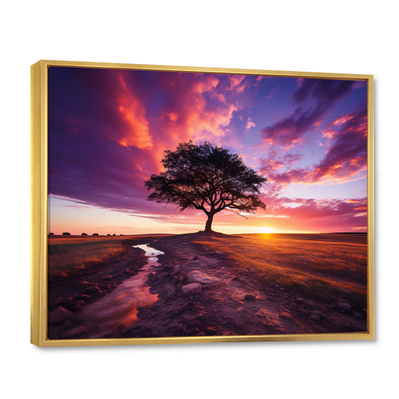 Coucher de soleil majestueux, Cadre flottant doré, H 16 po x l 32 po x P 1 po