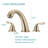Widespread 2-handle Bathroom Faucet with Drain Assembly-59396038