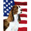 2 côtés en polyester de 2 côtés american drapeau de jardin-1288238404