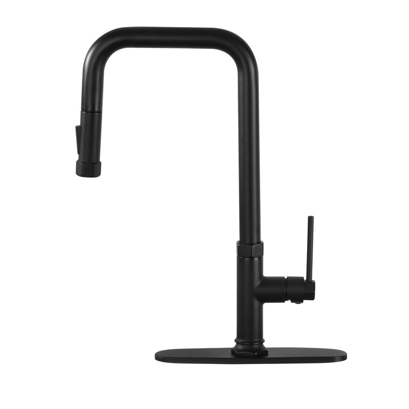 Robinet de cuisine extractible à poignée simple avec accessoires, Noir mat