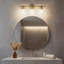 Éclairage de salle de bain à intensité variable 3 lumières Winder-1063301527