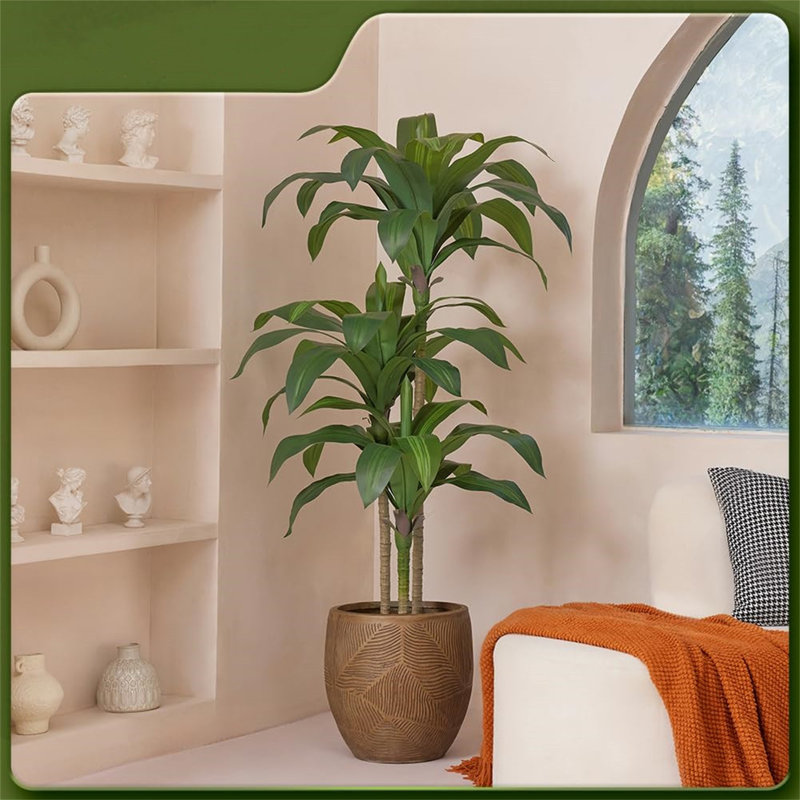 152cm Tree