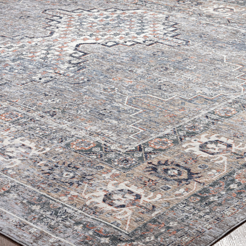 3 Oriental Area Rug in Gray, Rectangle 2' x 3'