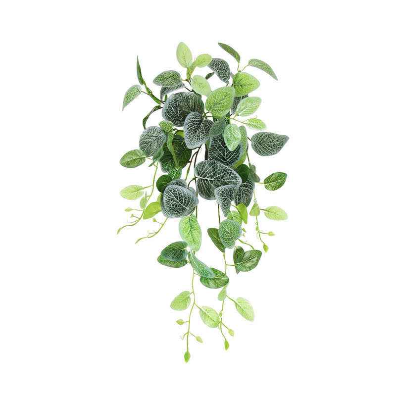 Plante artificielle suspendue lierre Fittonia, H 24 po x l 12 po x P 6 po