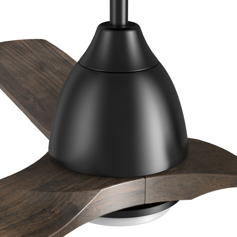 Riley 48'' Smart Ceiling Fan with Remote, Light Kit Included,Works with Google Assistant and Amazon Alexa,Siri Shortcut.