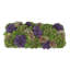 Multi Colored Sedum in Black Planter-1606536663-1606536662