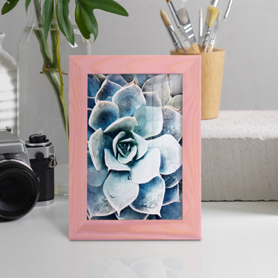 Pastel Succulent Beauty III, encadré sur papier
