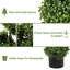 Plantes de buis de 7 pi, topiaires en spirale en pot noir pour décoration de jardin devant la véranda, vert clair