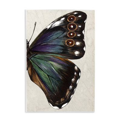 «Classic Butterfly Wing» par Melissa Wang